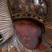 IMG_9173_s_prichod.jpg